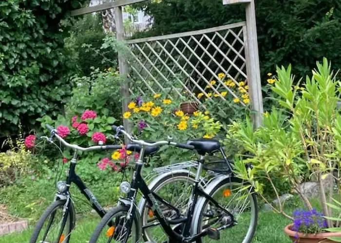 Garden * Берлин