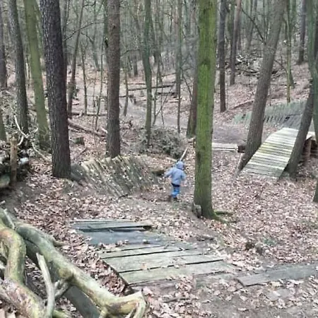 Garden 펜션 베를린