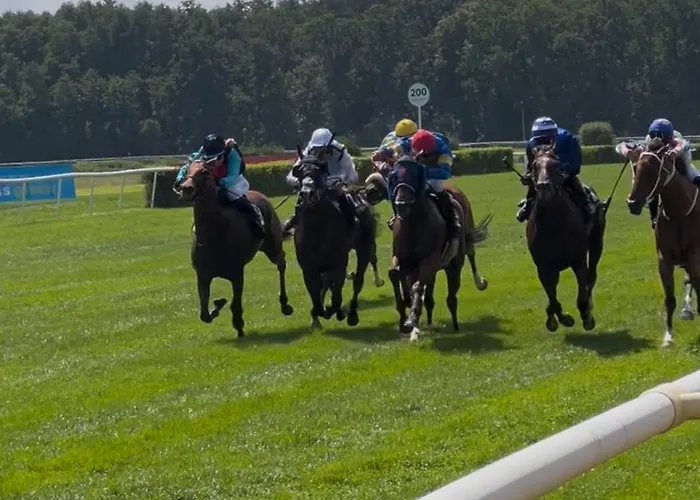 Сasa de vacaciones Garden *